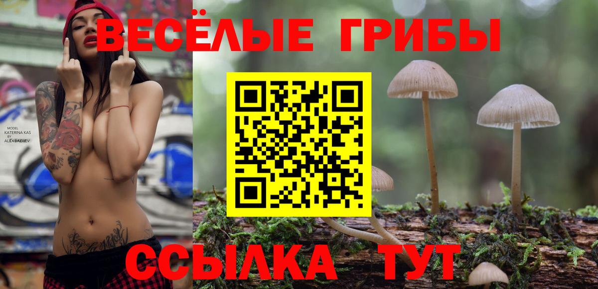 Псилоцибиновые грибы Cubensis Чехов